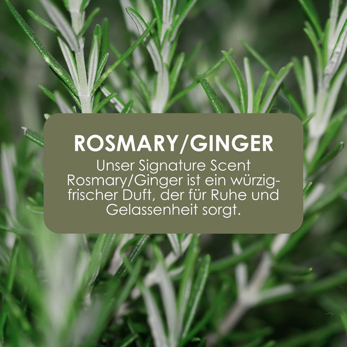Jean & Len Hand & Body Wash Rosemary Und Ginger Im Nachfüllbeutel, Reinigt Und Pflegt Die Haut, Würzig-Frischer Duft, Flüssigseife Im Nachfüllpack, Ohne Silikone & Parabene, 1,5L