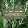 Jean & Len Hand & Body Wash Rosemary Und Ginger Im Nachfüllbeutel, Reinigt Und Pflegt Die Haut, Würzig-Frischer Duft, Flüssigseife Im Nachfüllpack, Ohne Silikone & Parabene, 1,5L