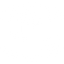 Icon für schnellen und zuverlässigen Versand im Online-Shop